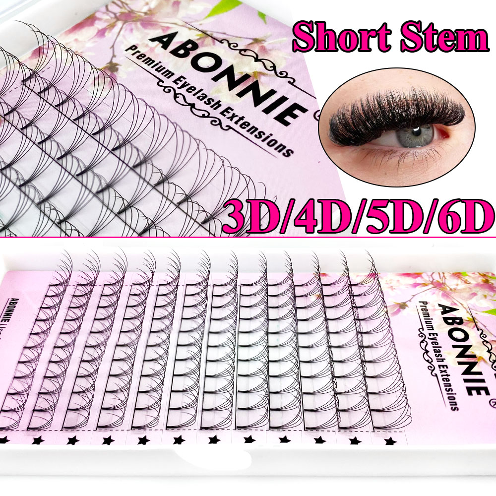 Abonnie 6D Narrow Fan Premade  - Eyelash Extension Remover At Home recensie en prijs