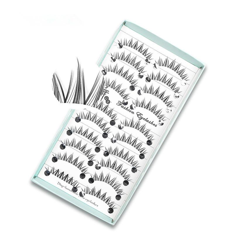 10 Paar Natuurlijke Lange Plui - Eyelash Extension Cat Eye recensie en prijs